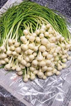 ノビル 野蒜　のびる　山菜 旬の野菜 500gのサムネイル