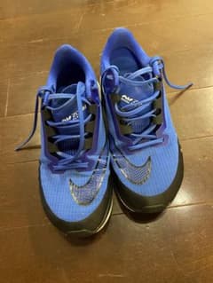 NIKE ライバルフライ3（Rival Fly）27.5cmのサムネイル