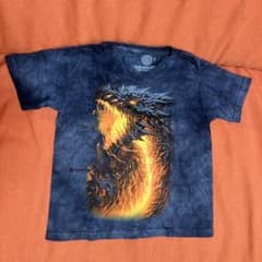 The Mountain ドラゴン柄 Tシャツ キッズ Sサイズのサムネイル