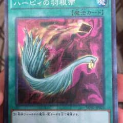 ハーピィの羽箒 タイムセール！のサムネイル