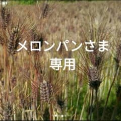 自然栽培　ダイシモチ麦3kgのサムネイル