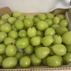山梨産 シャインマスカット 1kg 朝採れ 甘いのサムネイル