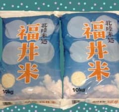 福井県産福井米20kg（10㎏×2本）　30年産のサムネイル