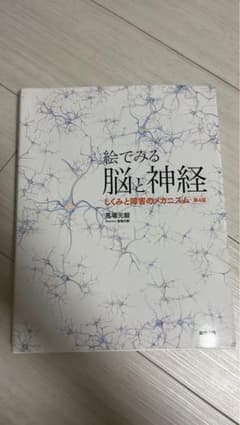 絵でみる脳と神経 第4版【電子版】 しくみと障害のメカニズムのサムネイル