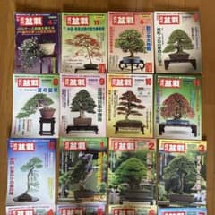 まとめてどうぞ！近代盆栽　27冊 まとめてどうぞ！近代盆栽 27冊 - メルカリ