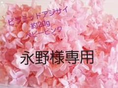 プリザーブドフラワー　ピラミッドアジサイ　ベビーピンク約20gのサムネイル