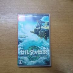 ゼルダの伝説 ティアーズ オブ ザ キングダムのサムネイル