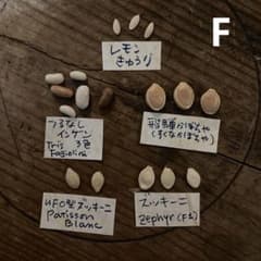まきどき夏野菜タネ☆セット Ｆ【固定種&F1】のサムネイル