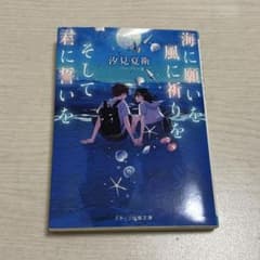 海に願いを 風に祈りを そして春に誓いを 汐見夏衛のサムネイル