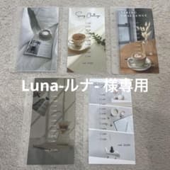 Luna-ルナ-様専用 Saving リフィル 5枚セット シート5枚セットのサムネイル