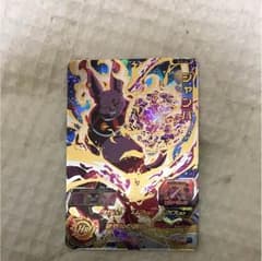 シャンパのサムネイル