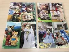 ネコシールのサムネイル
