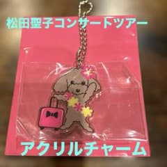 松田聖子コンサートツアー2026アクリルキーチャームトラベル - メルカリ