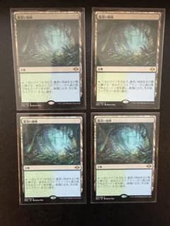 MTG 霧深い雨林/Misty Rainforest 日 4枚 - メルカリ