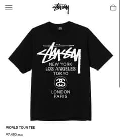 STUSSY ステューシー Tシャツのサムネイル