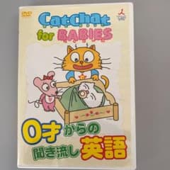DVD CatChat for BABIES 0才からの聞き流し英語　英会話のサムネイル