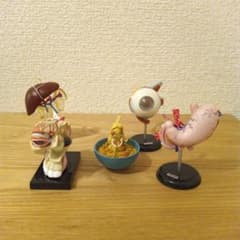 人体解剖図鑑 ガチャ カプセルトイ yujin ユージン 人体模型 幽麺　セットのサムネイル