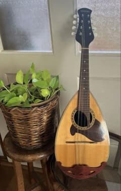 Mandolin :: Mercari｜DEJAPAN - Simple & Easy Japanese Proxy