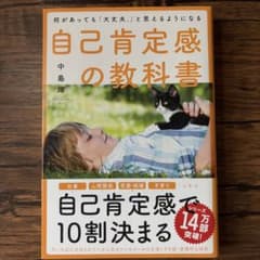 何があっても「大丈夫。」と思えるようになる自己肯定感の教科書のサムネイル