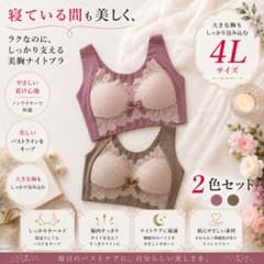 4L ナイトブラ 2色セット ノンワイヤー 美胸 脇高 大きいサイズのサムネイル