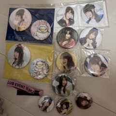 水樹奈々 公式 缶バッジ 特典 - メルカリ