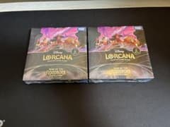 ディズニー ロルカナ フラッドボーンの渾沌 2BOX 未開封 シュリンク付