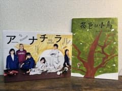 アンナチュラル DVD-BOX 石原さとみ 【絵本付き】 - メルカリ