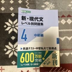 新・現代文レベル別問題集④ 中級編のサムネイル