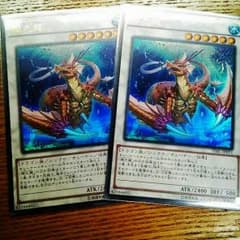 瑚之龍(バラ売り可)のサムネイル
