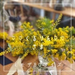 フレッシュミモザのサムネイル