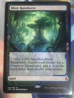 霧深い雨林　 ZNE英語