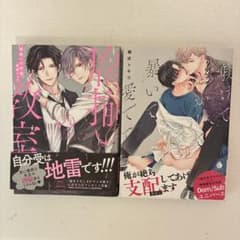 BL漫画 2冊セットのサムネイル