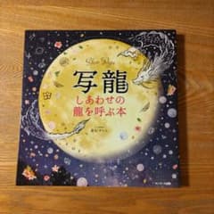 写龍 しあわせの龍を呼ぶ本のサムネイル