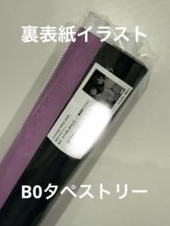ろうか POPUP SHOP B0タペストリー 表紙イラスト ろうか【ろうかPOPUPSHOP】B0Wスエードタペストリー「あの もう1回しま