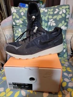 NIKE × FEAR OF GOD AIR SKYLON 2 / FOGのサムネイル