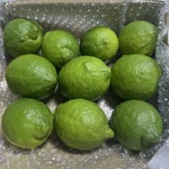 檸檬✨グリーンレモンA品箱込み約:1.2kg 柑橘ベルガモット「葉っぱ」おまけ付のサムネイル