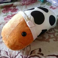 干支カピバラさんのサムネイル