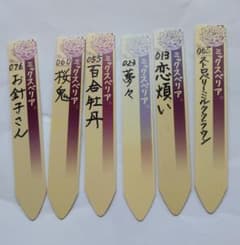 ミックスベリア 6種セット 札 - メルカリ