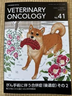 veterinary oncology 41(最新刊)のサムネイル