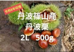 令和8年度 丹波篠山産丹波栗 2L 500gのサムネイル