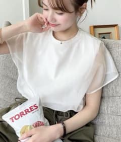 オーガンジー×綿天竺 シアーカバーフレンチスリーブTシャツ　moment+のサムネイル