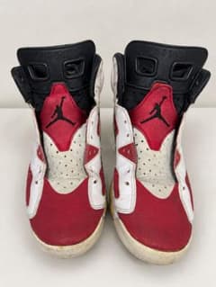 NIKE AIR JORDAN 6 CARMINE 28cmのサムネイル