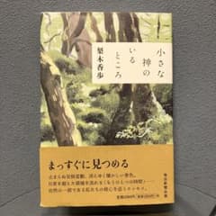小さな神のいるところのサムネイル