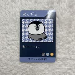 [Brand New] Self-Deprecating Bear - Nagano Aquarium Penguin