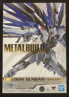 METAL BUILD フリーダムガンダム CONCEPT 2