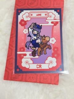 Crazy Raccoon Happy New Year ade 카드