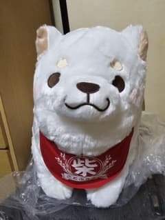 忠犬もちしば ででーんと超BIG うめ ぬいぐるみ