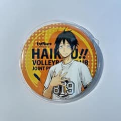 ハイキュー 山口忠 合同練習会のサムネイル