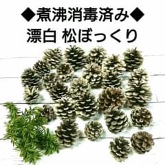 ◇煮沸消毒済み◇ 松ぼっくり 大小25個 漂白 ドライ クリスマス リース