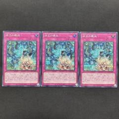 命王の螺旋　シークレット2枚utr1枚アジア版 ☆アジア☆命王の螺旋/シークレット【罠】《DOOD-JP079